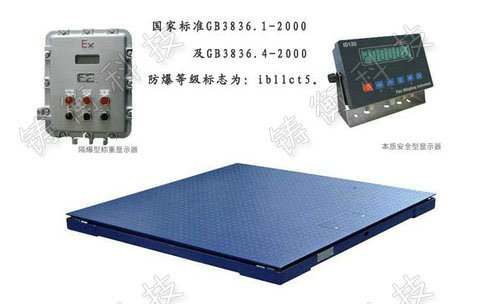 防爆型電子平臺秤