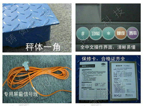 防爆型電子平臺秤