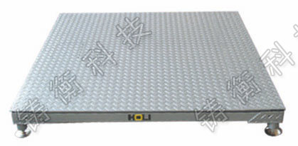 電子平臺(tái)秤