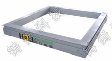 電子平臺(tái)秤